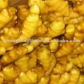 Chinese Fresh Gingger (precio competitivo)